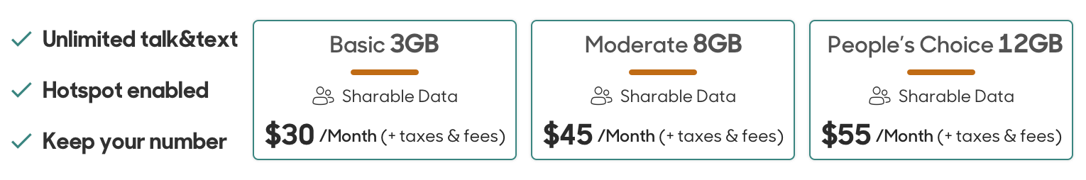 Reach Mobile's best shared data plans